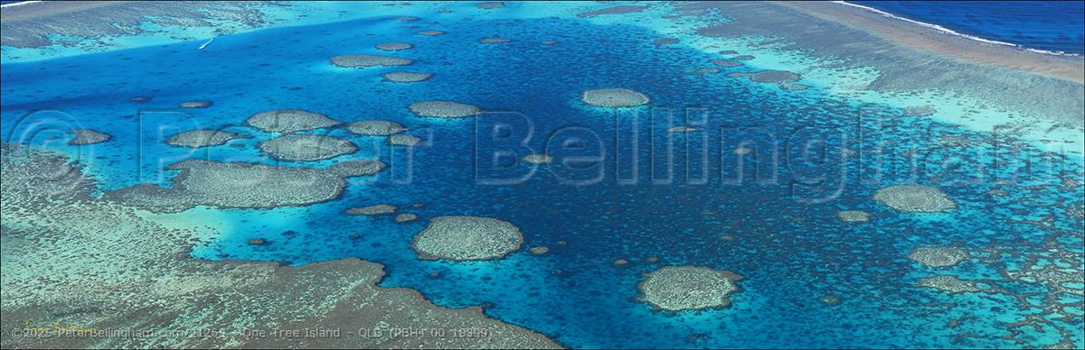 Peter Bellingham Photography One Tree Island - QLD (PBH4 00 18399)